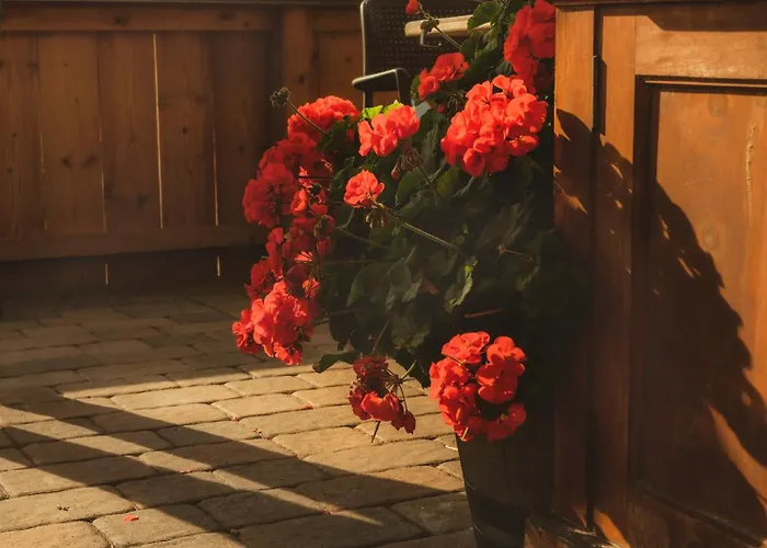 Schulhaus Tirol بيت ضيافة Zellberg