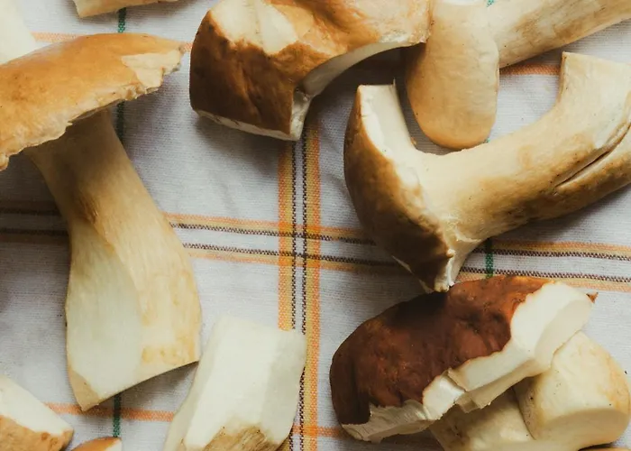 Schulhaus Tirol Gasthuis 3*