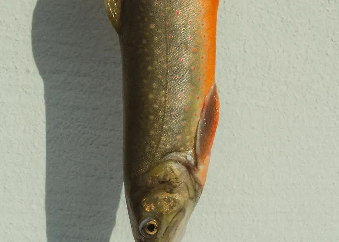 Schulhaus Tirol Zellberg