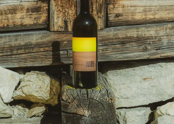 بيت ضيافة Schulhaus Tirol