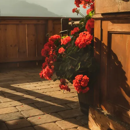 Schulhaus Tirol Maison d'hôtes Zellberg