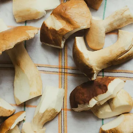 Schulhaus Tirol Maison d'hôtes 3*