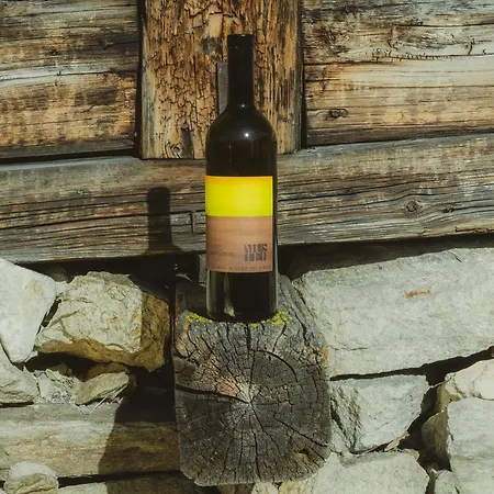 Maison d'hôtes Schulhaus Tirol